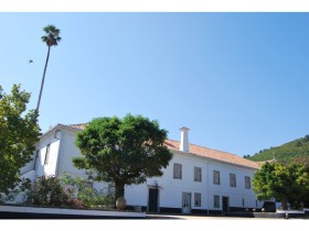 Quinta de Cima