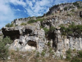 Poios