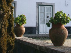 Quinta de Cima