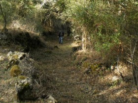 Estrada Romana