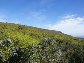 Serra de Alvaiázere